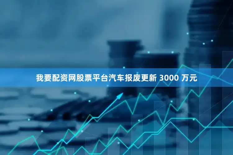 我要配资网股票平台汽车报废更新 3000 万元